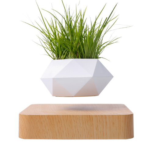 Magnetic Levitation Floating Flower Pot