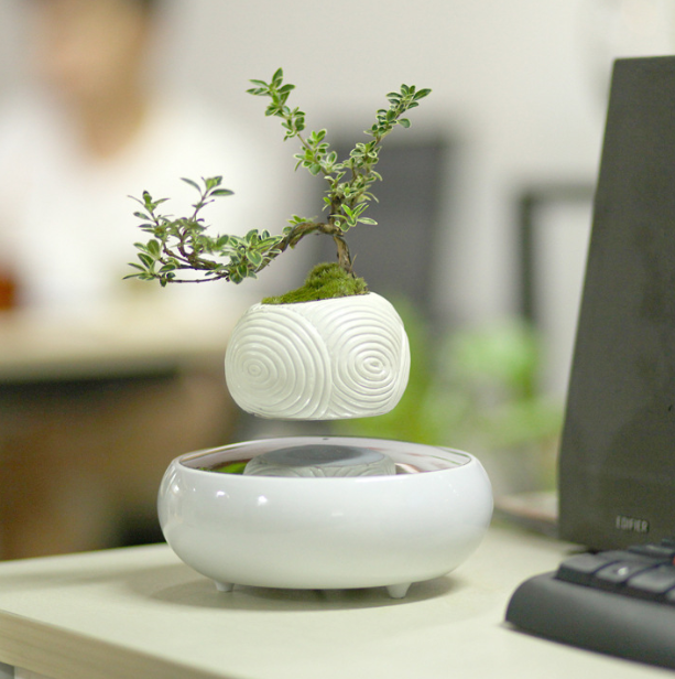 Magnetic Levitation Floating Flower Pot