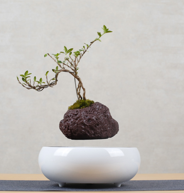 Magnetic Levitation Floating Flower Pot