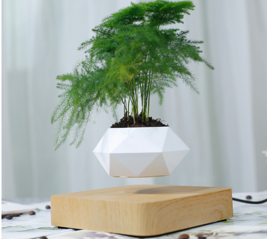 Magnetic Levitation Floating Flower Pot